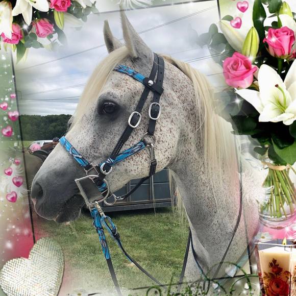 Meet your Posher, Stacy - Picture 1 of 1